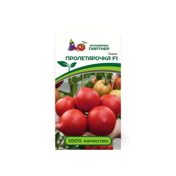Томат Пролетарочка