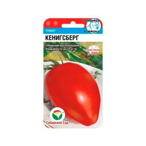 Томат Кенигсберг