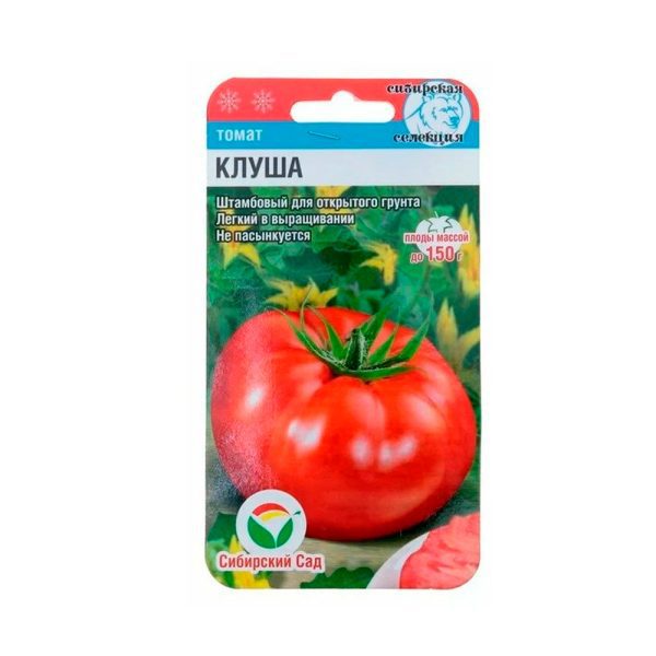 Томат Клуша