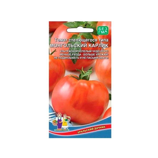 Томат Монгольский Карлик