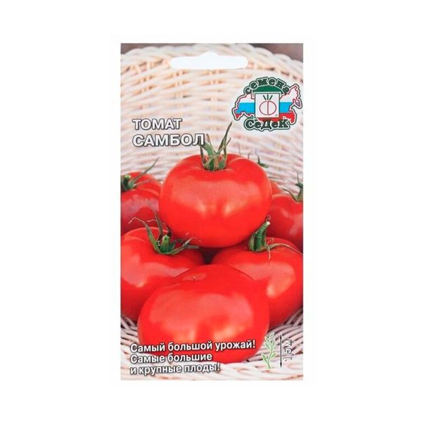 Томат Самбол СеДеК