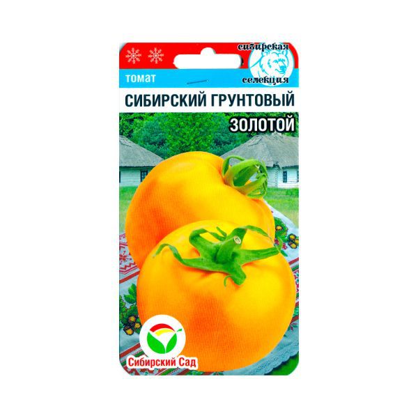 Томат Сибирский Грунтовой Золотой