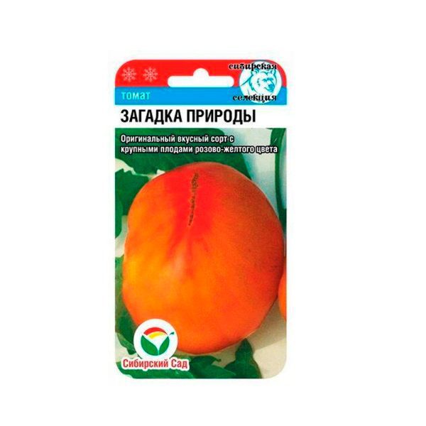 Томат Загадка Природы