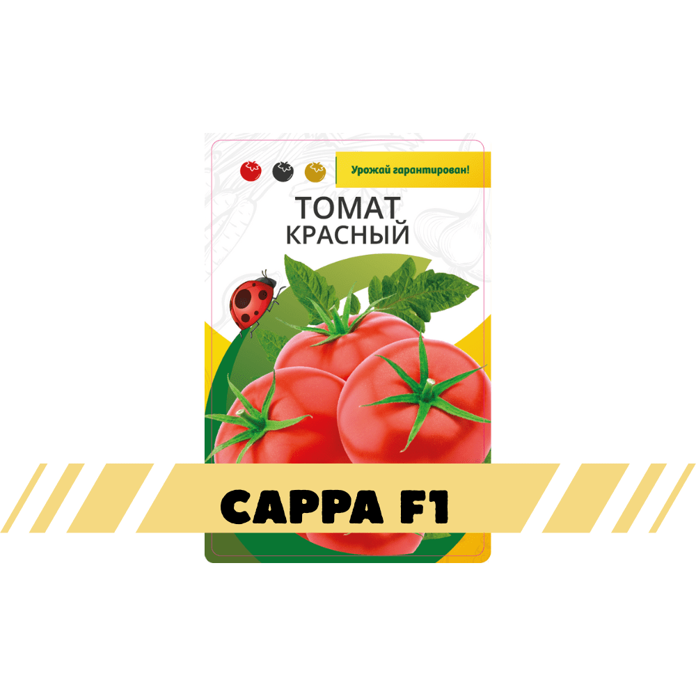 РЕД АРИЕС F1 (2)