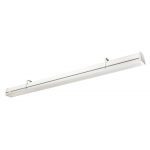 Фитосветильник 1FL ES line Phyto FL (warmWhite& Blue 2/1)