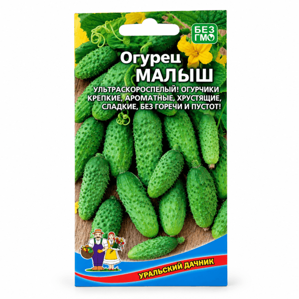 Огурец Малыш, Уральский Дачник